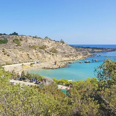 Paradisia